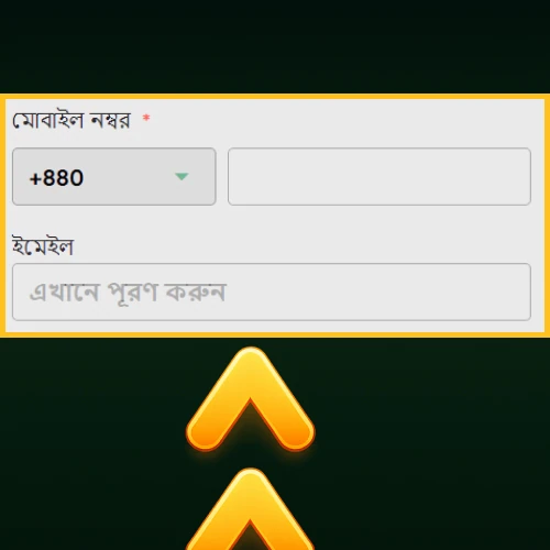 ফোন নম্বর ও ইমেইল ঠিকানা প্রবেশ করানো
